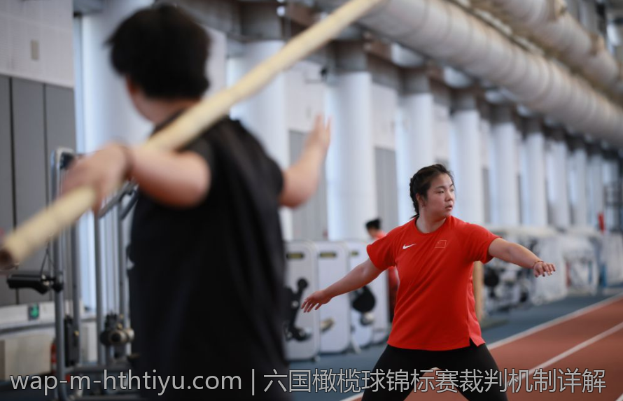 六国橄榄球锦标赛裁判机制详解