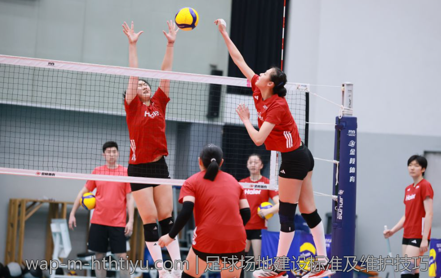 足球场地建设标准及维护技巧