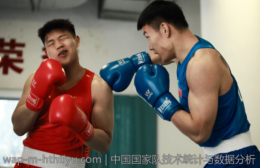 中国国家队技术统计与数据分析