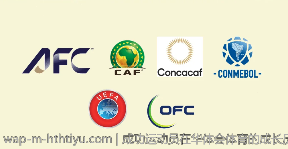 成功运动员在华体会体育的成长历程